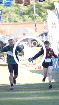 BIB:  <button type="button" onclick="openModal(26565528)" class="btn btn-primary btn-sm float-right" data-toggle="modal" data-target=".modal-high-quality">
                <i class="fa fa-download"></i> Download
                </button>